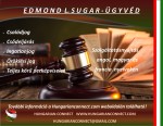 Edmond L. Sugar, P.A. / ügyvédi iroda/ law office