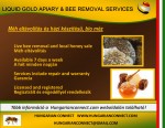 LIQUID GOLD APIARY & BEE REMOVAL SERVICES